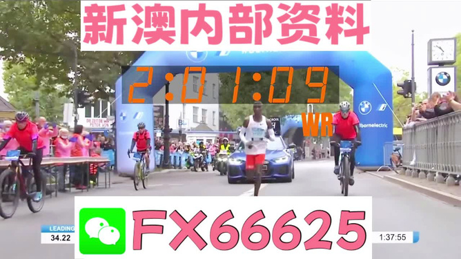 新澳2024年精準(zhǔn)資料分析與展望，新澳2024年發(fā)展趨勢分析與展望報告