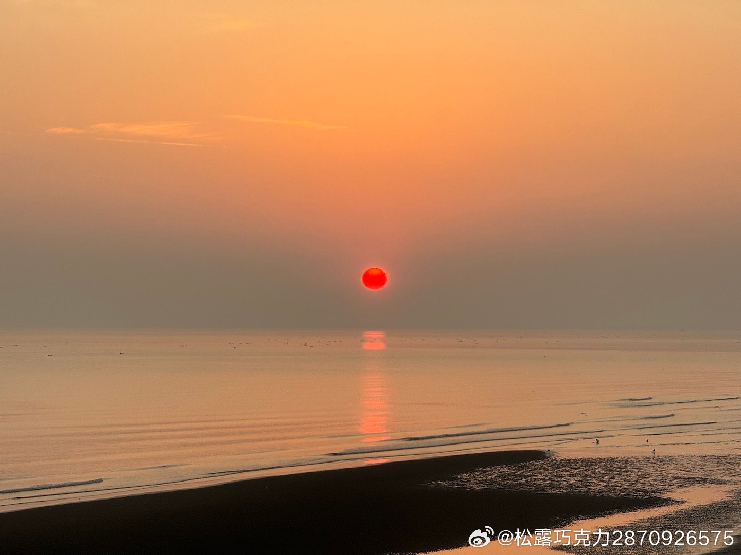 日出東方最新消息，引領(lǐng)新時(shí)代的曙光，日出東方最新動(dòng)態(tài)，引領(lǐng)新時(shí)代的曙光閃耀東方大地