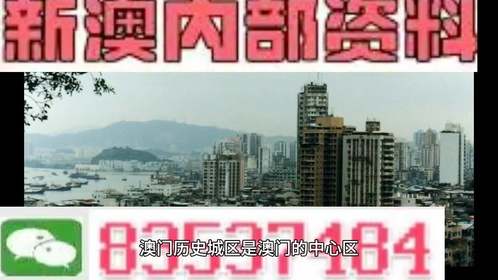 新澳門精準(zhǔn)四肖期期中特公開，探索與揭秘，澳門精準(zhǔn)四肖期期揭秘，探索與風(fēng)險(xiǎn)警告