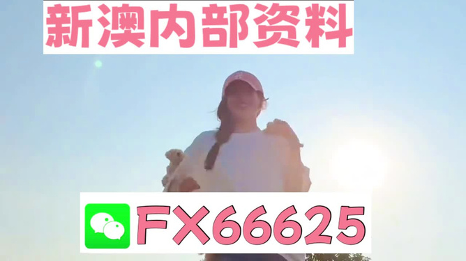 揭秘彩票背后的神秘?cái)?shù)字，精準(zhǔn)預(yù)測(cè)一肖的奧秘與探索，揭秘彩票數(shù)字背后的奧秘，探索精準(zhǔn)預(yù)測(cè)一肖的秘密