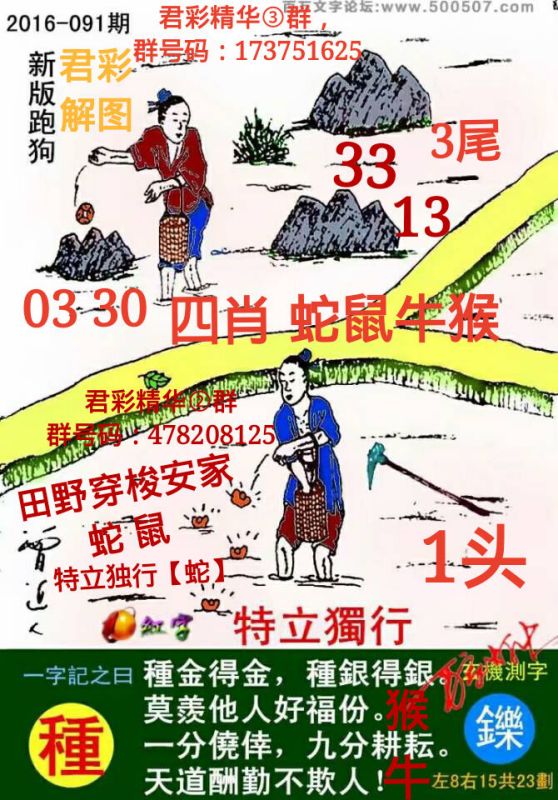 探索精準(zhǔn)跑狗圖，數(shù)字組合77777與88888的魅力，精準(zhǔn)跑狗圖揭秘，數(shù)字組合77777與88888的魅力探索