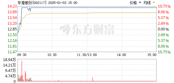 東港股份重組