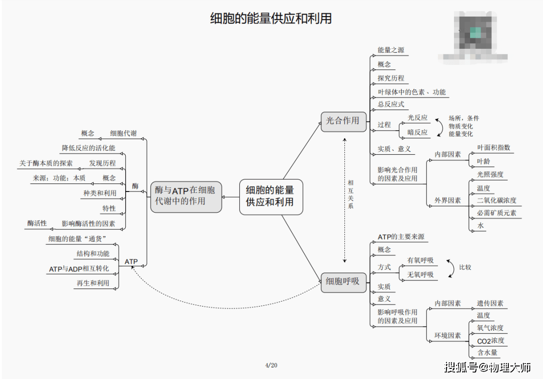 白小姐三肖三期必開獎(jiǎng)——虎年快樂的美好寓意，白小姐三肖三期必開獎(jiǎng)，虎年美好寓意迎好運(yùn)