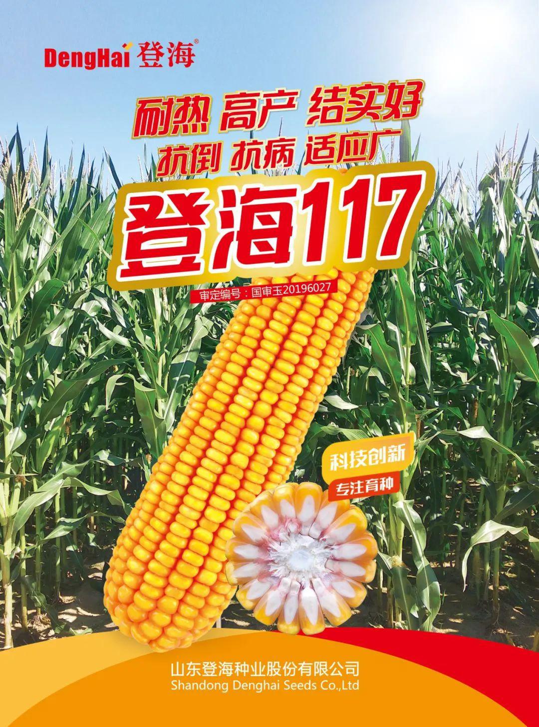 登海種業(yè)最新消息深度解析，登海種業(yè)最新消息全面解析