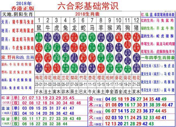 澳門正版資料大全資料生肖卡，探索生肖文化的魅力與實(shí)用指南，澳門正版資料大全，生肖文化魅力與實(shí)用指南探索