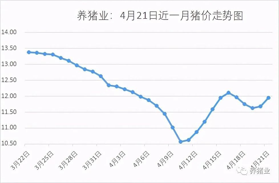 生豬價(jià)格下跌原因新解析，生豬價(jià)格下跌原因深度解析