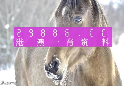 澳門精準(zhǔn)一肖一碼，揭秘預(yù)測(cè)背后的秘密與真相（100%準(zhǔn)確預(yù)測(cè)？），澳門精準(zhǔn)預(yù)測(cè)揭秘，一肖一碼背后的秘密與真相探索（真實(shí)預(yù)測(cè)準(zhǔn)確率揭秘）