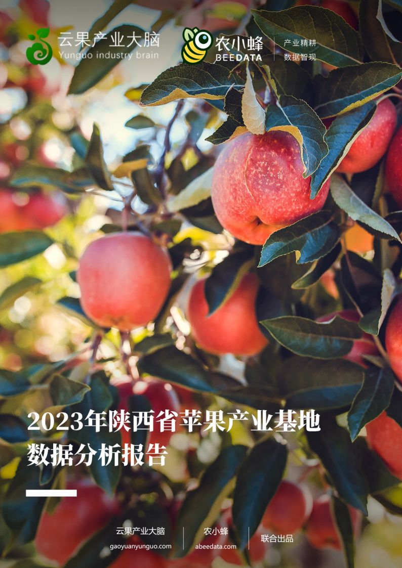 陜西蘋果產(chǎn)業(yè)全產(chǎn)業(yè)鏈深度解析，陜西蘋果產(chǎn)業(yè)全產(chǎn)業(yè)鏈深度探究