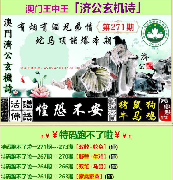 一肖中特香港版王中王，揭秘彩票神話與理性投注之道，揭秘彩票神話，香港版王中王與理性投注之道