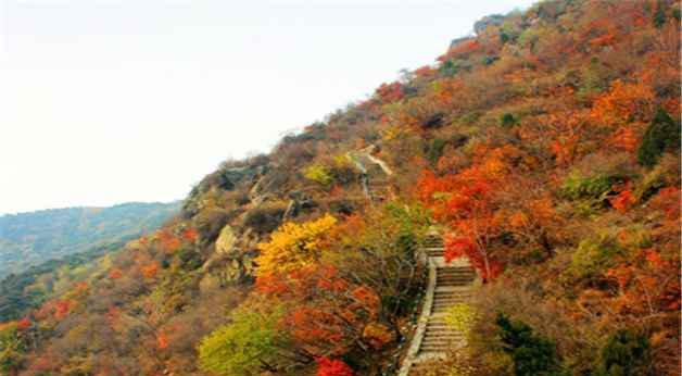 北京香山公園門票價格詳解，北京香山公園門票價格全解析