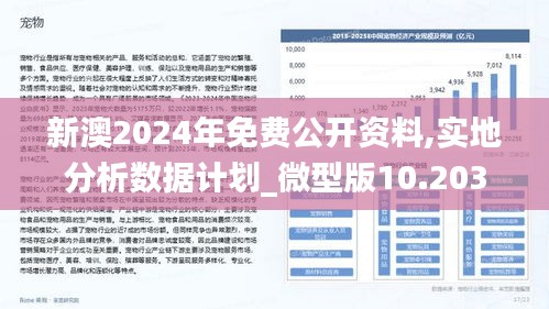 新澳2025今晚開獎(jiǎng)資料詳解，新澳2025今晚開獎(jiǎng)資料全面解析