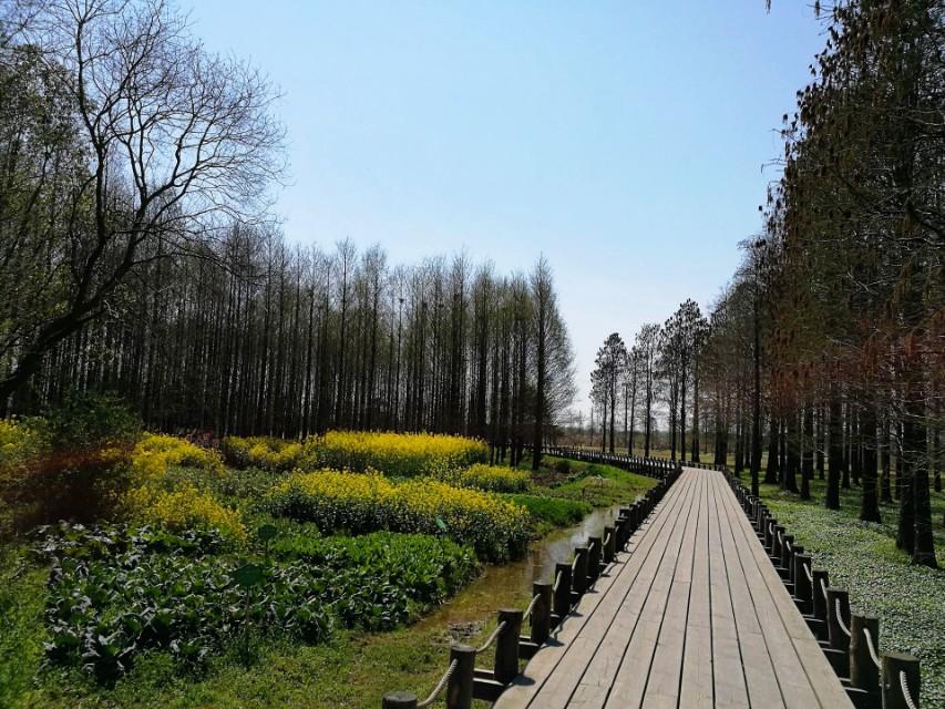 附近離我最近的公園，探索自然與健康的最佳場(chǎng)所，探索自然與健康的最佳場(chǎng)所，附近最近的公園之旅