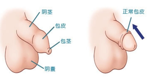 推薦 第345頁