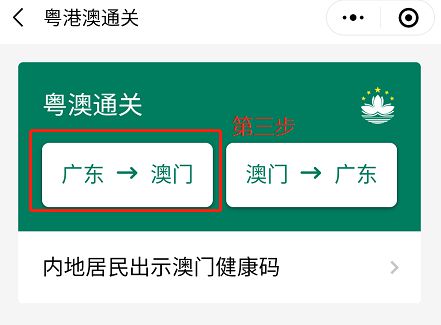 澳門碼資料版本大全與違法犯罪問題探討，澳門碼資料版本大全與犯罪問題探討