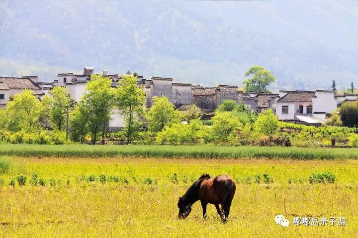 十一五日游旅游最佳去處，探尋中國最美的風景線，中國最美風景線探尋，十一最佳十五日游旅游去處