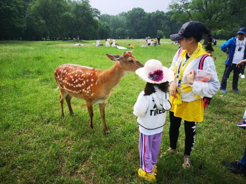 小學(xué)生必去的十個(gè)景點(diǎn)，探索世界的奇妙之旅，小學(xué)生必游十大景點(diǎn)，開啟世界探索之旅