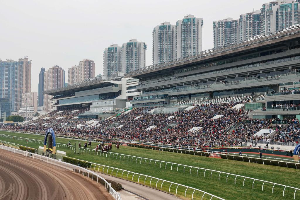 今晚香港開特馬，探索未來的繁榮與活力，香港特馬開啟之夜，繁榮與活力的未來探索