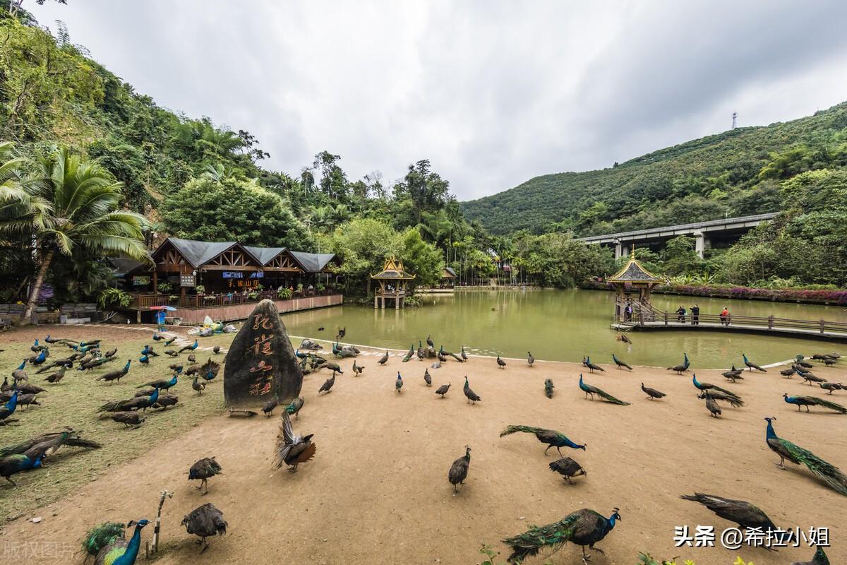 西雙版納旅游必去景點介紹，西雙版納必游景點攻略大全