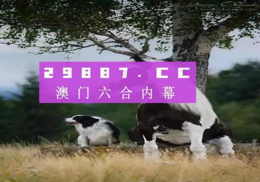 2025年開獎結(jié)果探析與預(yù)測