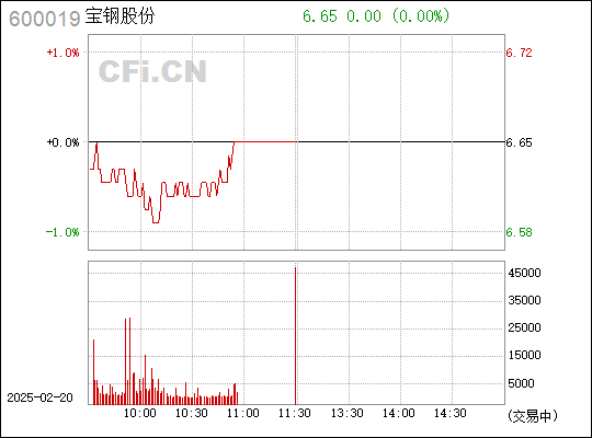 寶鋼股份吧 600019 股吧，深度解析與前景展望，寶鋼股份（600019）深度解析與前景展望，股吧熱議話題