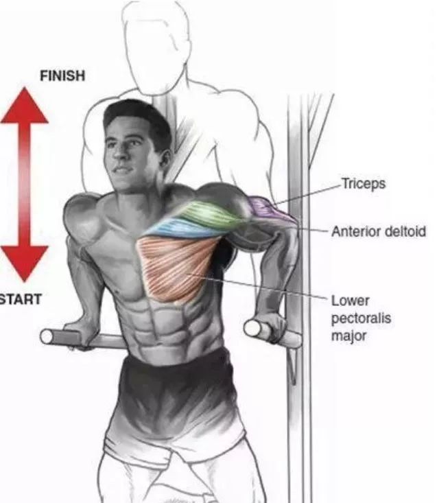 胸肌鍛煉，最有效的訓(xùn)練方法與快速達成指南（附圖解），胸肌鍛煉終極指南，高效訓(xùn)練方法與快速達成圖解