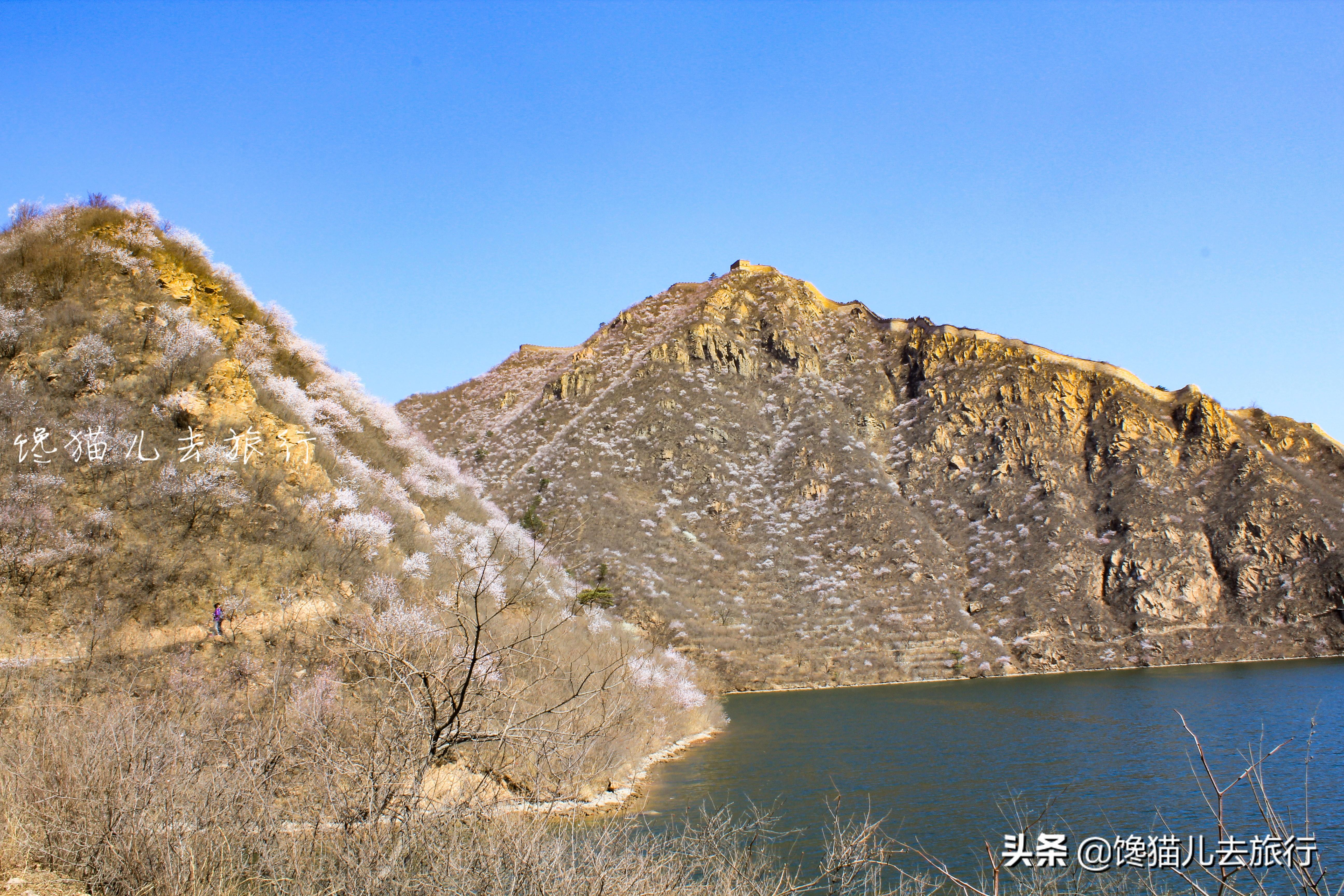 北京長城一日游旅游團報價詳解，北京長城一日游旅游團報價全解析