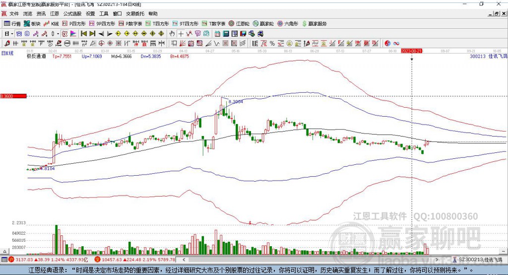 股票300213，深度解析與前景展望，股票300213深度解析與未來前景展望