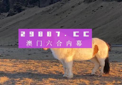 新澳門六開獎結(jié)果記錄與彩民的期待，澳門六開獎結(jié)果記錄與彩民期待揭秘