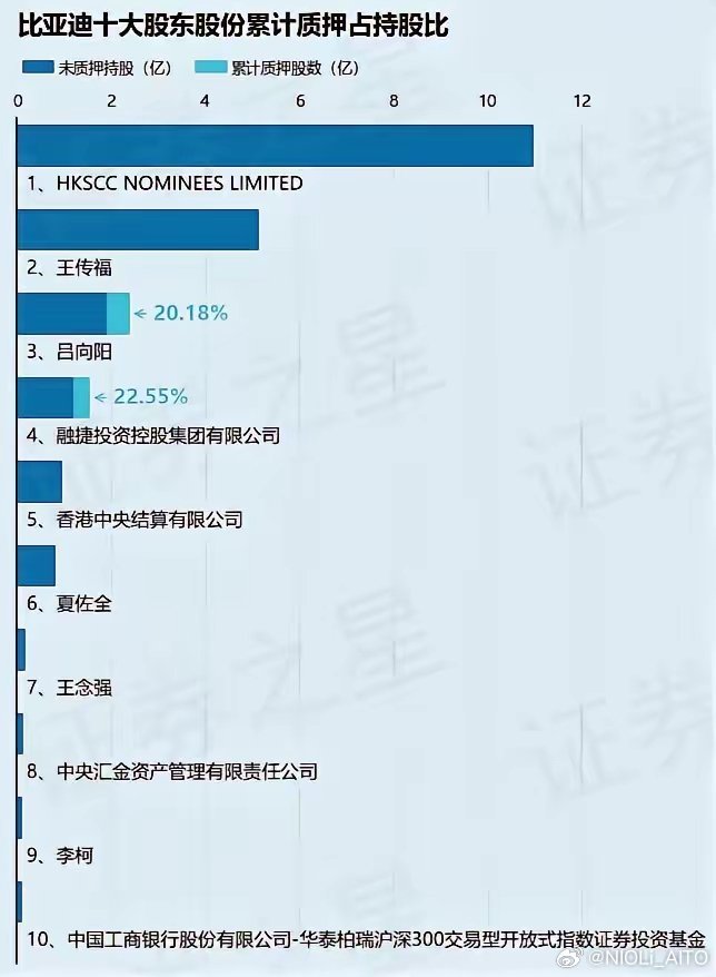 比亞迪股份的十大股東及其影響，比亞迪股份的十大股東及其影響力分析