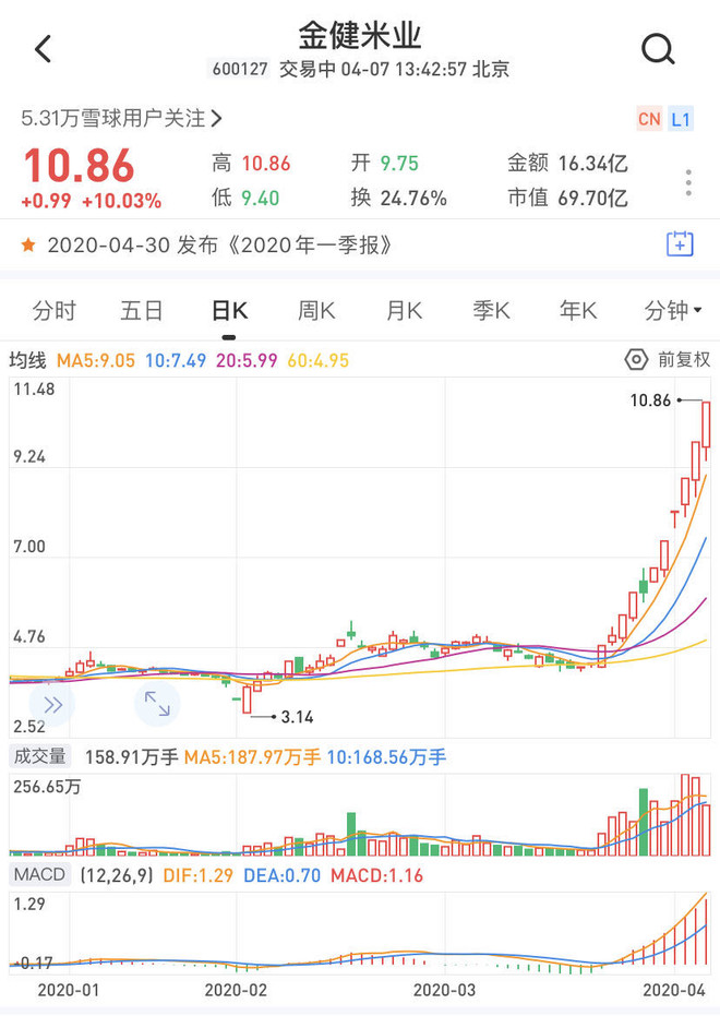 金健米業(yè)股票怎么樣？深度解析其潛力和風(fēng)險，金健米業(yè)股票深度解析，潛力與風(fēng)險探討