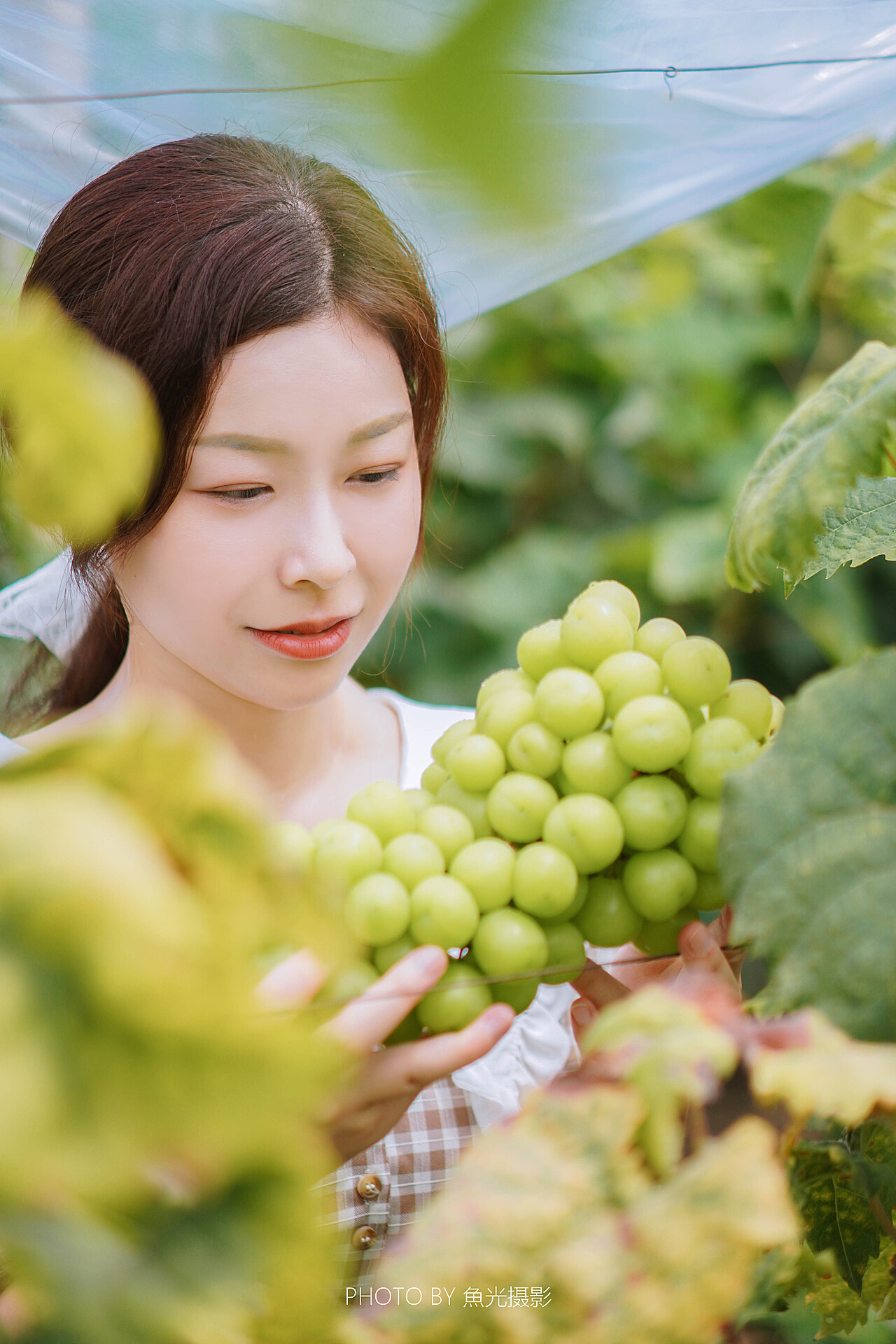 葡萄成熟時(shí)