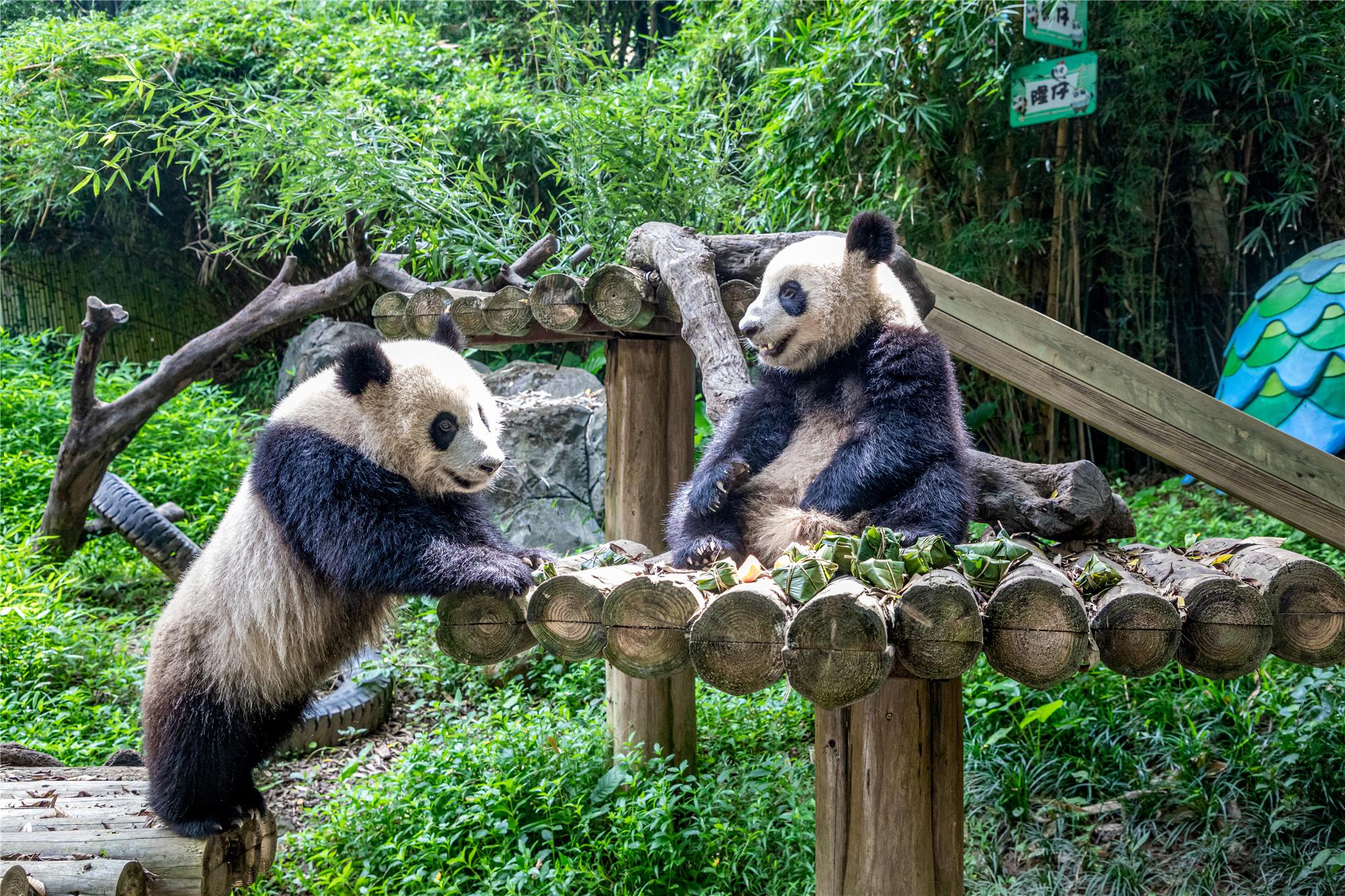 暑假親子旅游景點(diǎn)推薦