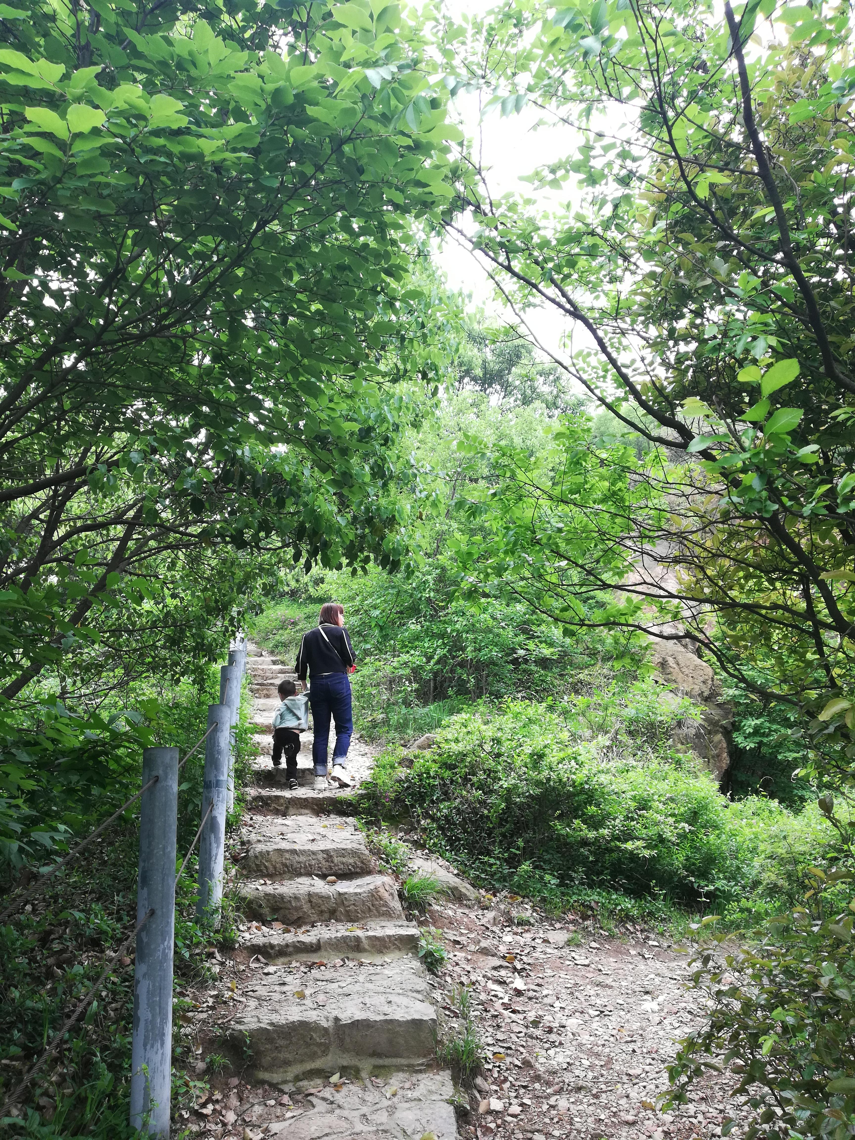 探索在線視頻的新天地，野花視頻最新免費(fèi)觀看，野花視頻，免費(fèi)在線觀看，探索視頻新領(lǐng)域