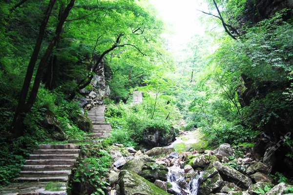 蟒山國家森林公園，北京的自然寶藏，蟒山國家森林公園，北京的自然秘境